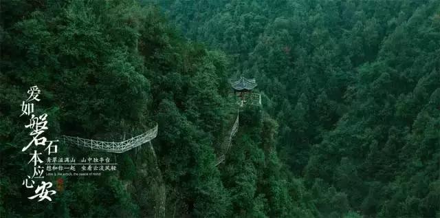 小猫钓鱼正版下载中文版